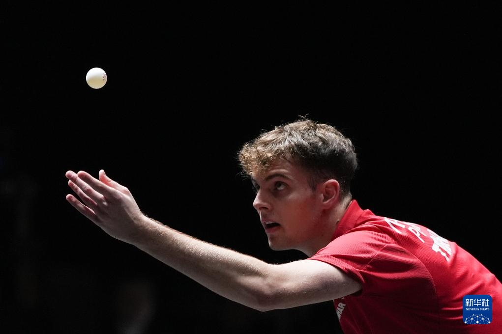 赛场布局 赛场布局